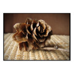 Larch Cone ATC Business Card Template