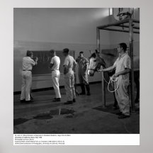 Large Animal Clinic, UC Davis, 1966 Print