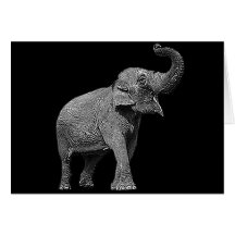 LARGE ASIAN ELEPHANT - INDIAN ELEPHANT CARD