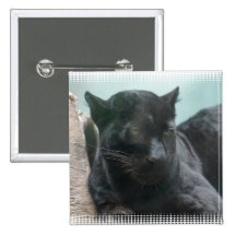Large Black Panther Button