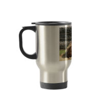 Large Brown Bison At Rest In Zoo America, Hershey, Coffee Mugs