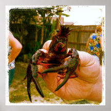 Large Crawfish Photo Poster