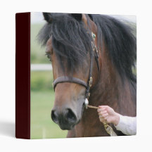 Large Draught   Horse Binder