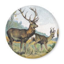 Large Game & Antlers Refrigerator Magnets