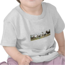 Large Game & Antlers Shirt