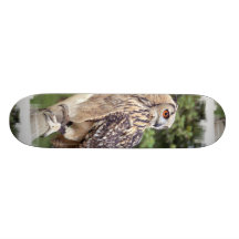 Large Owl on Fence Skateboard