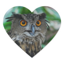 Large Owl Stickers