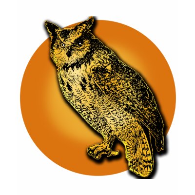 Large Owl with Orange Moon Tshirts, Mugs by greenbaby