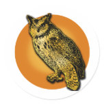 Large Owl with Orange Moon Tshirts, Mugs Round Sticker