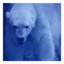 Large Polar Bear Invitations