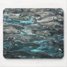 Large school of fishes mouse pads