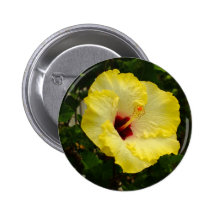 Large Yellow Hibiscus Flower Buttons
