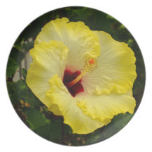 Large Yellow Hibiscus Flower Dinner Plate