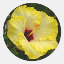 Large Yellow Hibiscus Flower Round Sticker