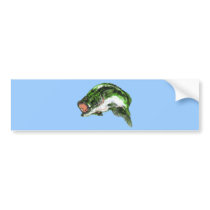 Largemouth Bass Bumper Stickers