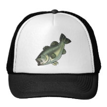 Largemouth Bass Hat