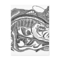 Largemouth Bass in the cattails Post Cards