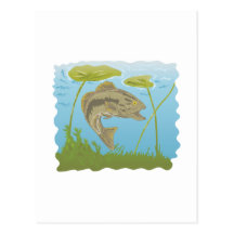 largemouth bass jumping post cards