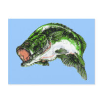 Largemouth Bass Post Card