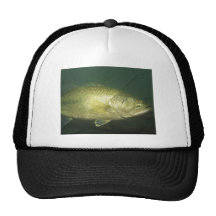 Largemouth Bass Trucker Hat