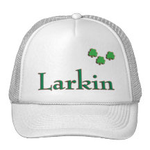Larkin Family Mesh Hat