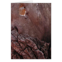 Larmes en bois cartes de vœux