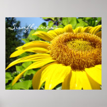 L'art de tournesols imprime la fleur de Sun d'été  Posters