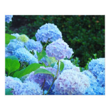 L'art décoratif floral de photographie imprime l'h