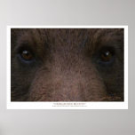 L'art INSUPPORTABLE de ~ de BEAUTÉ (ours gris) imp Poster