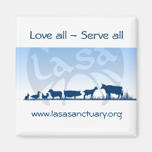 Lasa Magnet