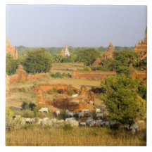 L'Asie, Myanmar (Birmanie), Bagan (païen). Passage Carreau En Céramique