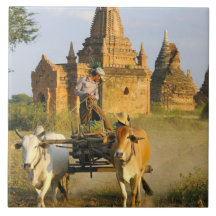 L'Asie, Myanmar (Birmanie), Bagan (païen). Un char Carreau