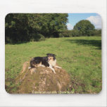 Lassie Use Mats