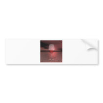 Last Call Bumper Sticker