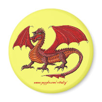 Last Dragon magnet design