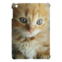 Last Hope's Twinkle Case For The iPad Mini