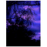 Last light t-shirts