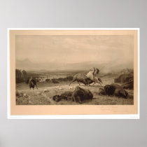 Last of the Buffalo Bierstadt (0137A) - Restored Print
