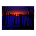 LAST OF THE WINTER SUN cards