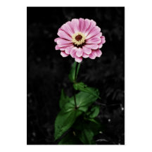 Lasting Impression Mini Print Business Cards
