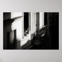 Late Afternoon View Poster