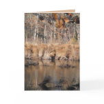 Late Autumn Greeting Card