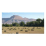 Late Summer near Palisade Photo Card