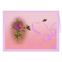 Lathyrus elve sweet pea greeting cards