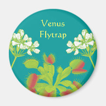 L'attrape-mouche de Vénus fleurit l'aimant