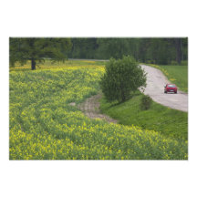 Latvia, Northeastern Latvia, Vidzeme Region, Photo Art