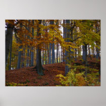 Laubwald