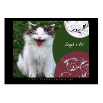Laugh Life Lessons From a Cat ACEO Art Cards