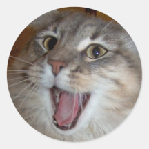 laugh! round stickers