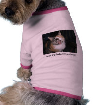 laughing cat pet tee shirt